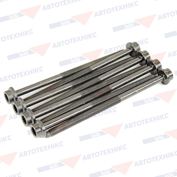 Комплект болтів з головкою системи TORX з чорного металу VOLKSWAGEN FOX 2006-2012, POLO 2005-2007 BGA (BK3365) BGA фото 2
