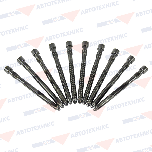 Комплект болтів з головкою системи TORX з чорного металу AUDI A4 2004-2008, A6 2001-2005 BGA (BK3377) BGA фото 2