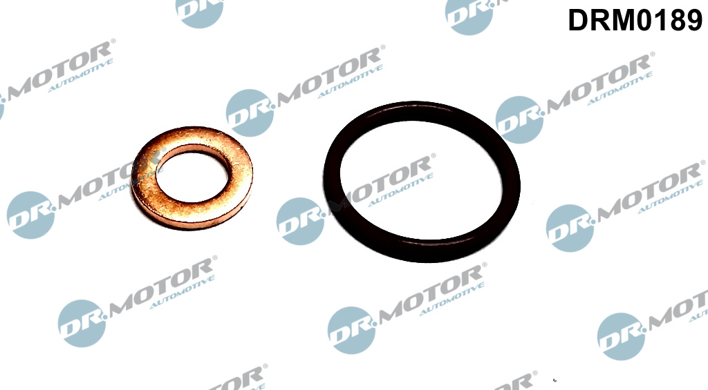 Комплект прокладок з різних матеріалів VOLVO C30,V50,S40,V60,C60 2007-2018 2.0 DR MOTOR (DRM0189) DR.motor фото 2