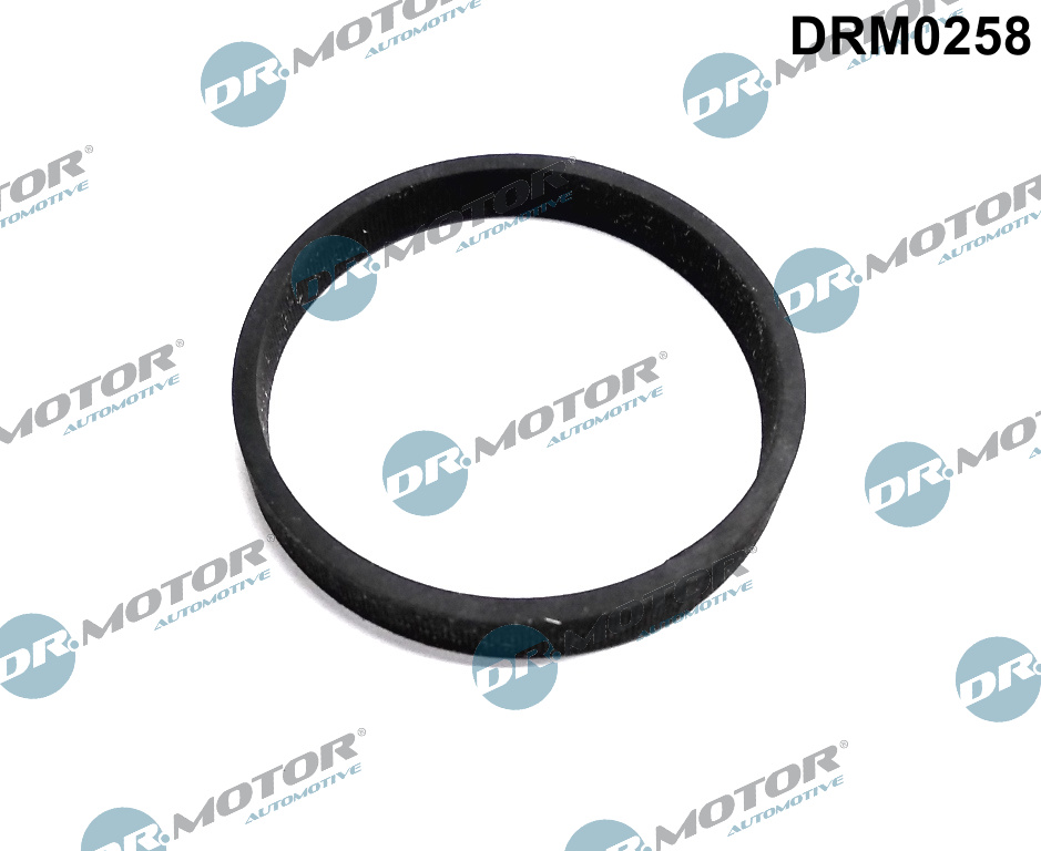 Прокладка гумова FORD S-MAX 2006-2015 2.0TDCI DR MOTOR (DRM0258) DR.motor фото 2