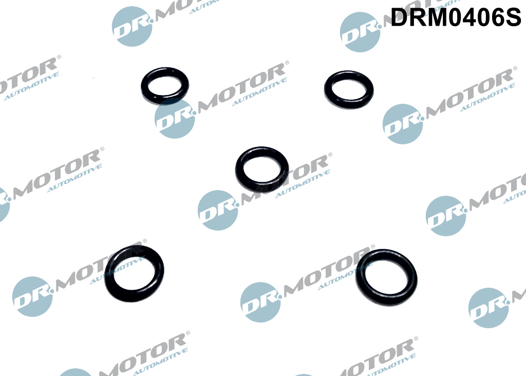 Комплект прокладок гумових FORD FIESTA,MONDEO,FOCUS 2001-> 1,0-1,6 D DR MOTOR (DRM0406S) DR.motor фото 2
