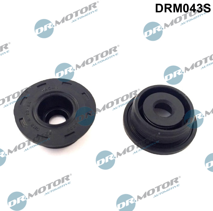 Комплект прокладок гумових FORD / PSA CYLINDER HEAD GASKET SEAL, FORD TRANSIT, FIAT DUCATO, DR MOTOR (DRM043S) DR.motor фото 2