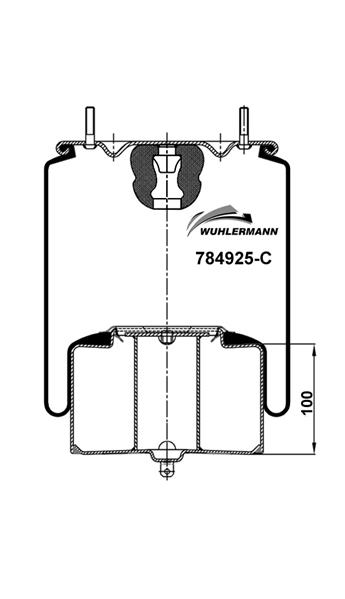 Пневморесори WU 784925-C для VOLVO FM 12 FM 12H/380