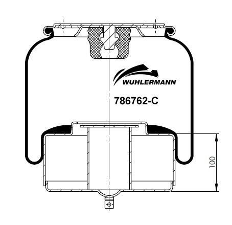 Пневморесори WU 786762-C для VOLVO FMX II 420