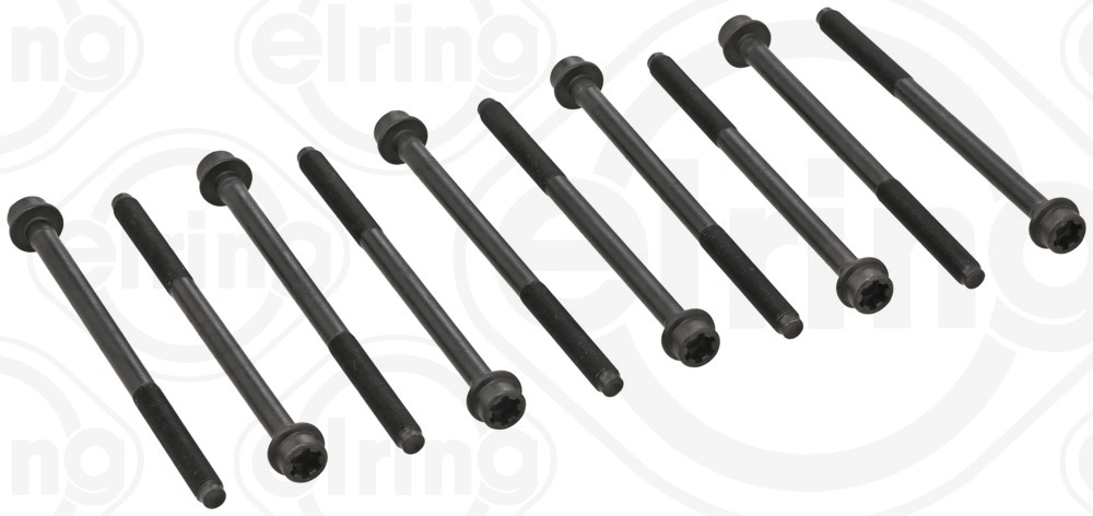 Болты г/б (SET) FIAT 1.6D/2.0D 198 A2.000/263 A3.000/84 ELRING (524.160) ELRING фото 2
