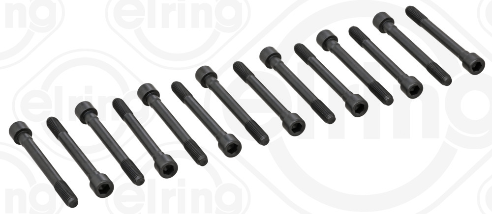 Болты г/б (SET) NISSAN ELRING (710.100) ELRING фото 2