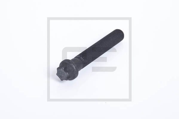 Ремкомплекти підвіски PE 036.128-00A для MAN L 2000 10.153 LAEK