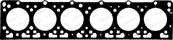 Прокладки двигуна PY BN500 для FORD Cargo 1115