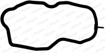 Прокладки двигуна PY JM7111 для SCANIA P,G,R,T - series P 560, R 560