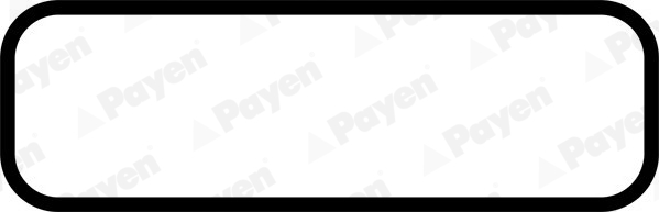 Прокладки двигуна PY JN266 для RENAULT TRUCKS C CBH 380.26
