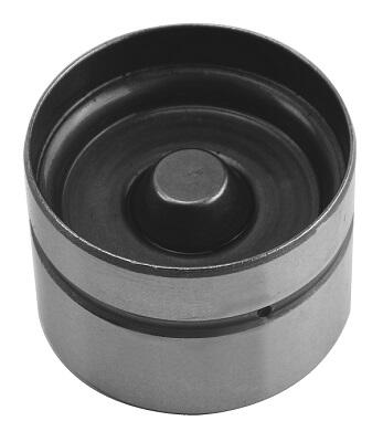 Гідрокомпенсатор ALFA/FIAT/ROVER/RENAULT 1.4-2.4 16V 182A4/182B6/D16A8/F2N 24MM 19 AE (FOL106) AE фото 2