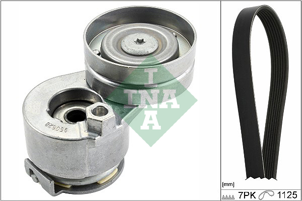 Комплект ремня генератора Renault Megane/Scenic 1.9 dCi/2.0 16V 03- (7PK1125) фото 11