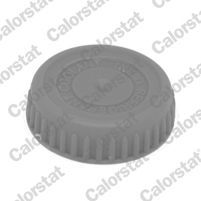 Кришка розширювального бачка NISSAN PRIMERA P12 02-VERNET (RC0185) VERNET фото 2
