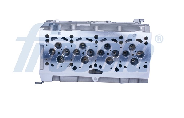 Головка блока VAG/MITSUBISHI/JEEP/DODGE 2.0 TDI FRECCIA (CH17-1020) Freccia фото 2