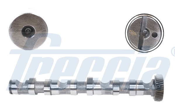 Вал розподільчий VAG 2.5TDI AKN/AFB/AKE/AYM/BFC EX (CYL 4-6) FRECCIA (CM05-2123) Freccia фото 2
