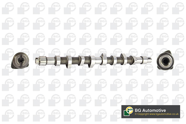 Вал розподільчий PSA D9A(XUD9) BGA (CS5314) BGA фото 2
