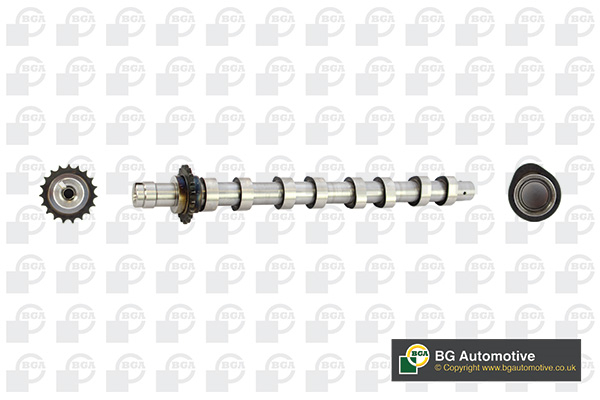 Вал розподільчий IN PSA/FORD 9HZ(DV6TED4)/HHDA/HHDB BGA (CS5531) BGA фото 2