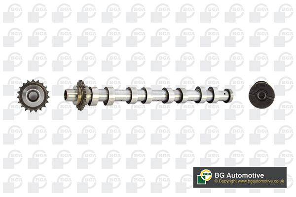 Вал розподільчий EX PSA/FORD 9HZ(DV6TED4)/HHDA/HHDB BGA (CS5538) BGA фото 2