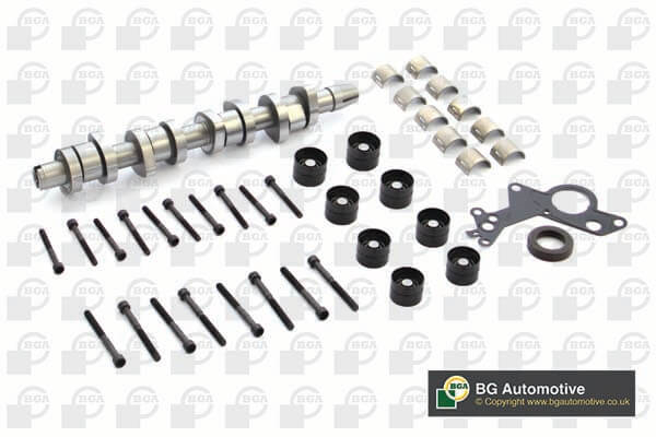 Комплект розподільчого валу VAG 1.9TDI BLS/BPZ/BMM/BMT/BRC/BJS BGA (CS9503SFK) BGA фото 2