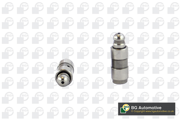 Гідрокомпенсатор FIAT/OPEL/PSA/RENAULT/VAG 198A2/198A3/939A3/DW10TD/Z13DT/A20DTH/M BGA (HL6345) BGA фото 2