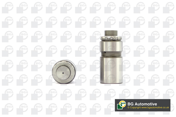 Гідрокомпенсатор CHERY AMULET/FORD 1.1/1.3/1.4/1.6 1FQW/SQR480 BGA (HL6396) BGA фото 2