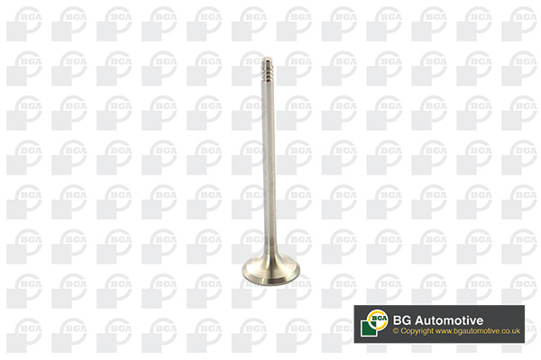 Клапан випуск BMW 3 (E90/F30/F31)/5 (F10/F11)/X3 (F25)/X5 (E70/F15) 2.0-3.0 06-18