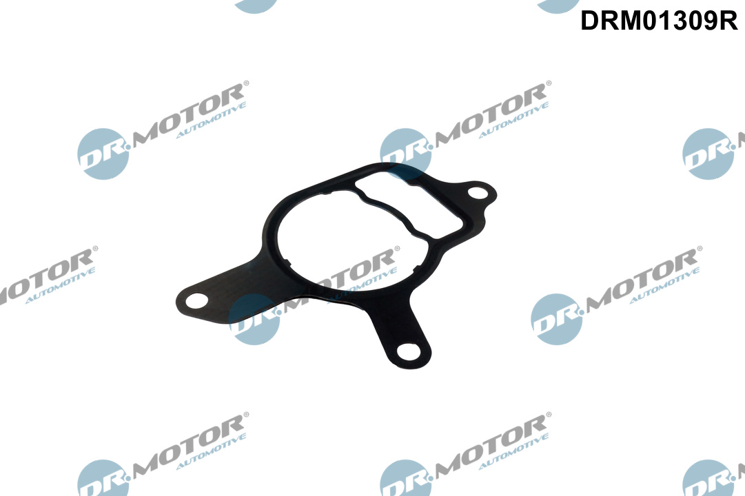 Прокладка двигуна металева VAG ВАКУМНОГО НАСОСА DR MOTOR (DRM01309R) DR.motor фото 2