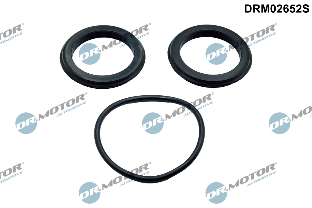 Комплект прокладок гумових LAND ROVER (SET) ДРОС. ЗАСЛІНКИ DR MOTOR (DRM02652S) DR.motor фото 2