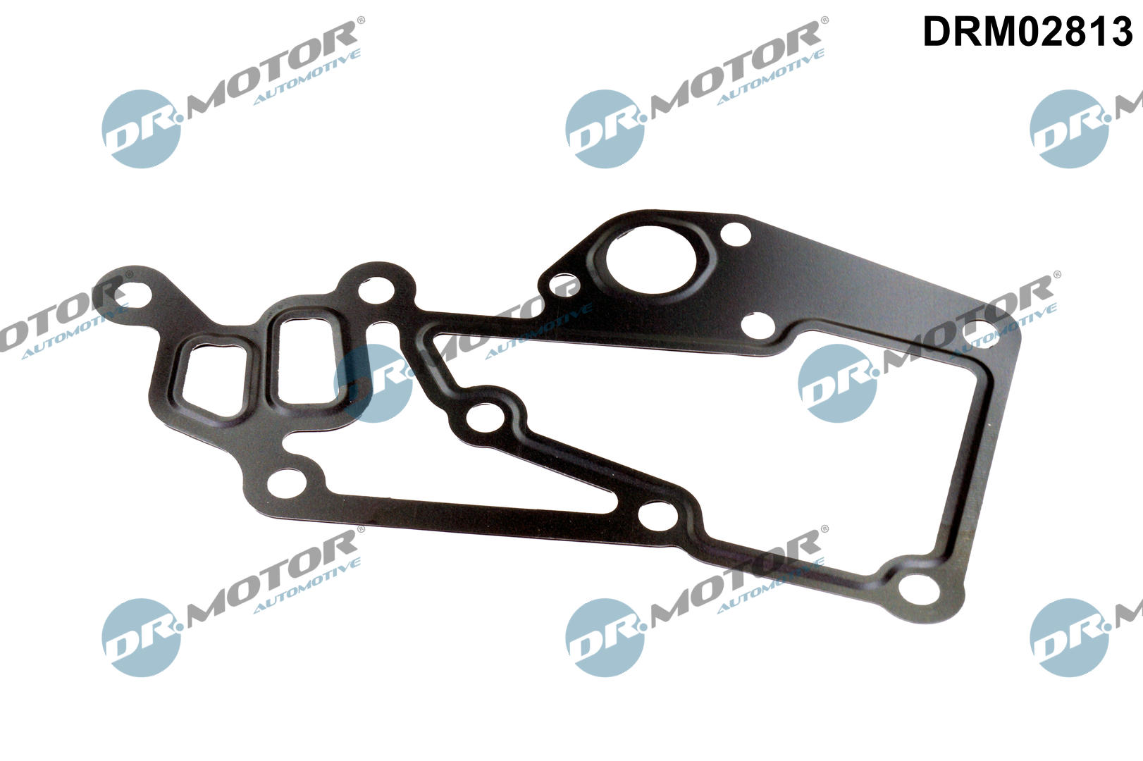 Прокладка двигуна металева PSA 1.8/2.0/2.2 WATER PIPE 99- DR MOTOR (DRM02813) DR.motor фото 2