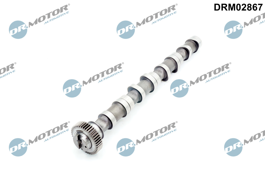 Вал розподільчий VAG DR MOTOR (DRM02867) DR.motor фото 2