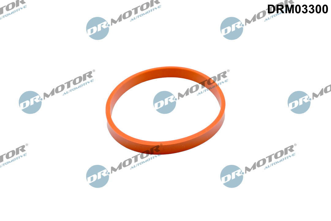 Прокладка двигуна гумова FORD ДРОС. ЗАСЛІНКИ 1.25/1.4/1.6 DR MOTOR (DRM03300) DR.motor фото 2