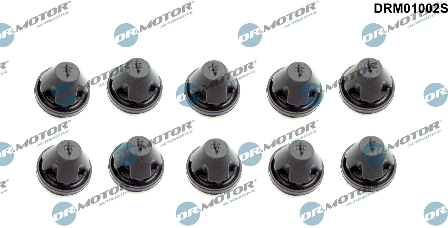 Комплект прокладок гумових КЛАП. КР. (SET) VAG DR MOTOR (DRM01002S) DR.motor фото 2