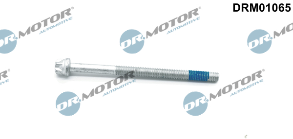 Болт з головкою системи TORX з чорного металу MB INJECTOR BOLT DR MOTOR (DRM01065) DR.motor фото 2