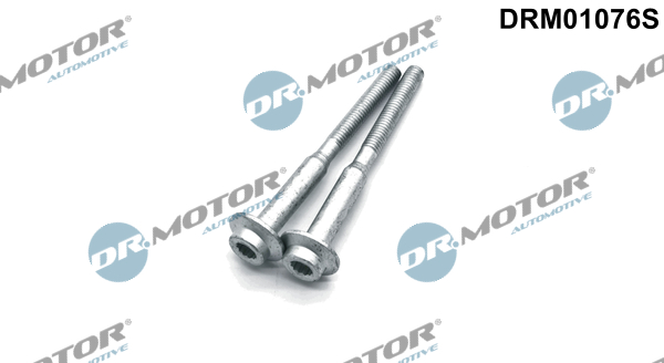 Комплект болтів з головкою системи TORX з чорного металу VAG INJECTOR BOLT SET DR MOTOR (DRM01076S) DR.motor фото 2