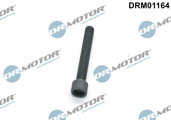 Болт з головкою системи TORX з чорного металу VAG INJECTOR BOLT DR MOTOR (DRM01164) DR.motor фото 2