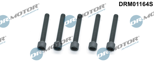Комплект болтів з головкою системи TORX з чорного металу VAG INJECTOR BOLT SET 5PCS DR MOTOR (DRM01164S) DR.motor фото 2