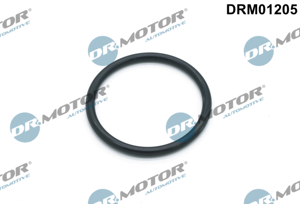 Прокладка двигуна гумова WATER PUMP GASKET DR MOTOR (DRM01205) DR.motor фото 2