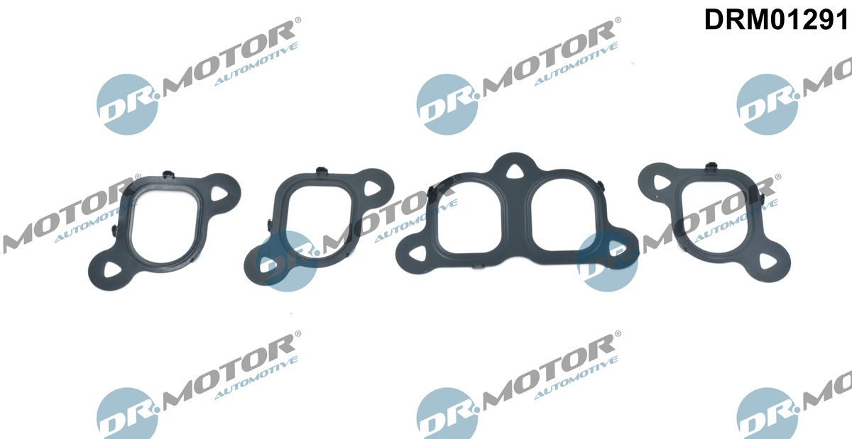 Комплект прокладок з різних матеріалів КОЛЛ. IN (SET) VW 2.5TDI AXD/AXE/BAC DR MOTOR (DRM01291) DR.motor фото 2