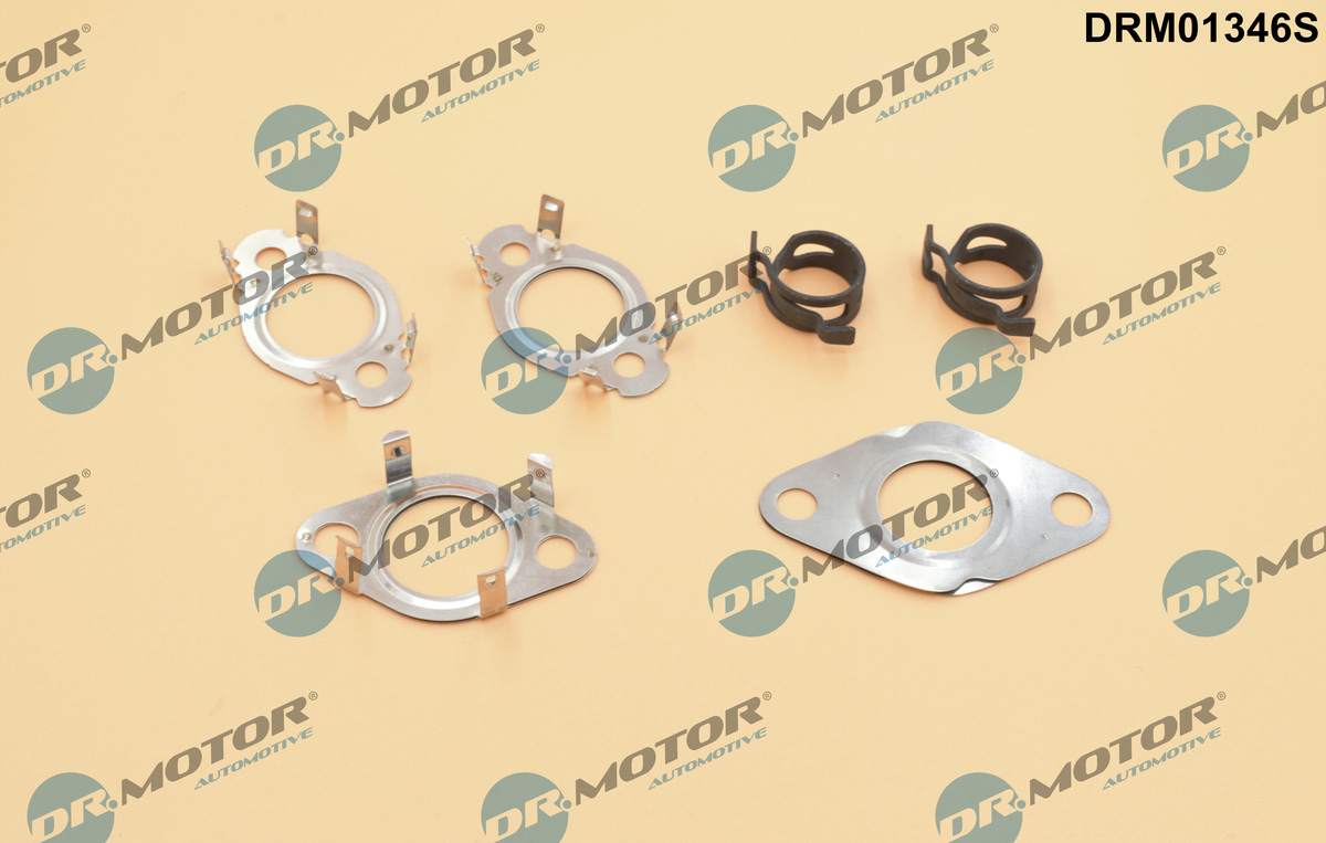 Комплект прокладок з різних матеріалів VAG EGR VALVE GASKET SET DR MOTOR (DRM01346S) DR.motor фото 2