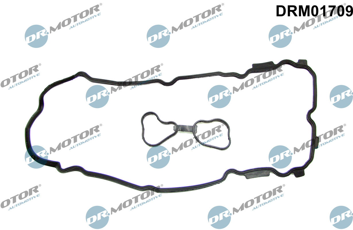 Комплект прокладок гумових КЛАП. КР. (SET) RENAULT/NISSAN 2.5 V6/3.5 V6 VQ35DE/VQ35HR/VQ25DE DR MOTOR (DRM01709) DR.motor фото 2