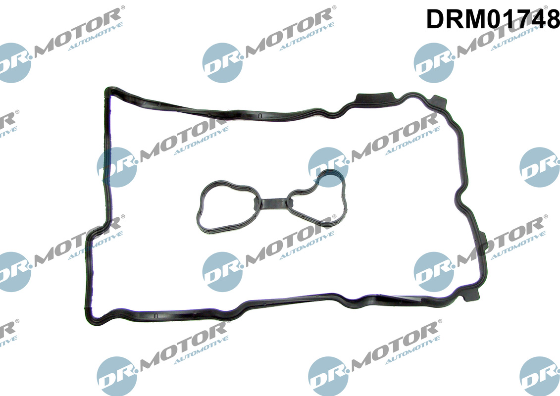 Комплект прокладок гумових КЛАП. КР. (SET) RENAULT/NISSAN 2.5 V6/3.5 V6 VQ35DE/VQ35HR/VQ25DE DR MOTOR (DRM01748) DR.motor фото 2