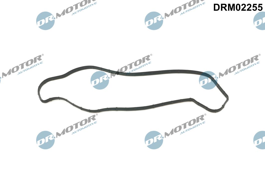Прокладка двигуна гумова FIAT/DODGE/LANCIA WATER PUMP DR MOTOR (DRM02255) DR.motor фото 2
