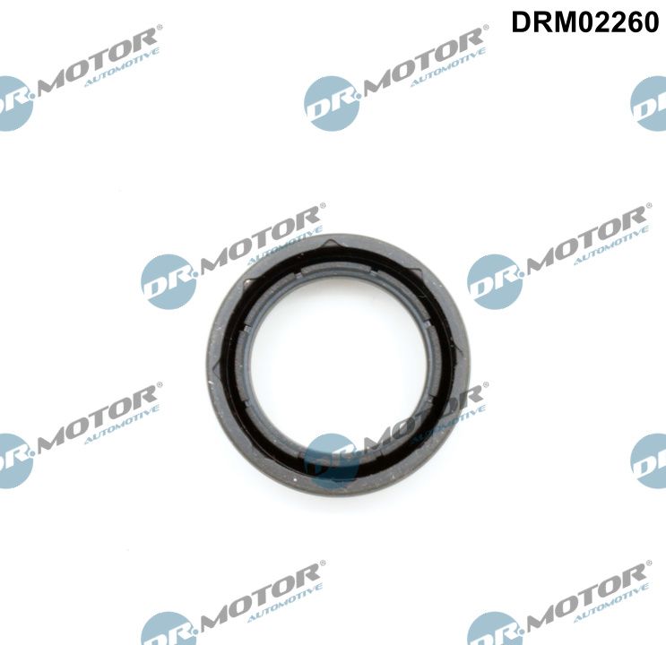 Кільце гумове КЛАП. КР. СВІЧ. КОЛОД. FIAT/DODGE/LANCIA DR MOTOR (DRM02260) DR.motor фото 2