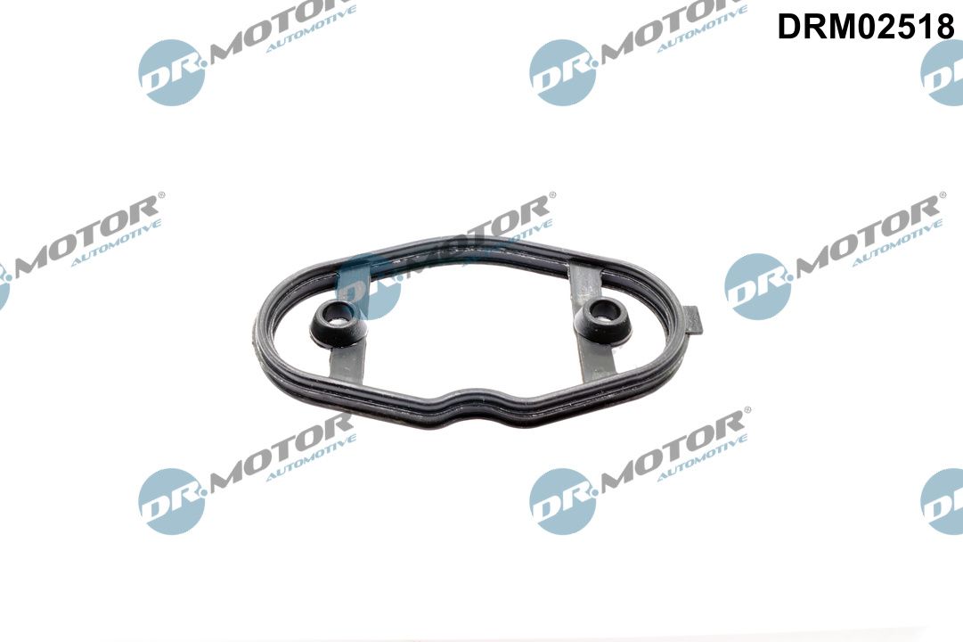 Прокладка колектора двигуна гумова BMW ПАЛИВНОГО НАСОСА DR MOTOR (DRM02518) DR.motor фото 2