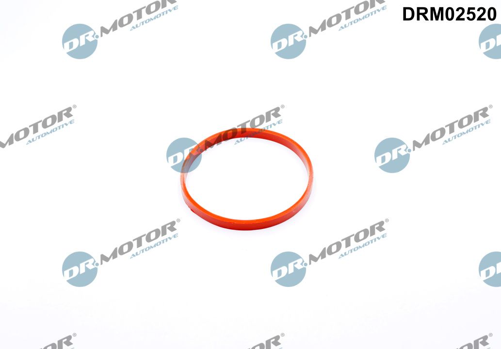 Прокладка двигуна гумова BMW ДРОСЕЛЬНОЇ ЗАСЛІНКИ DR MOTOR (DRM02520) DR.motor фото 2