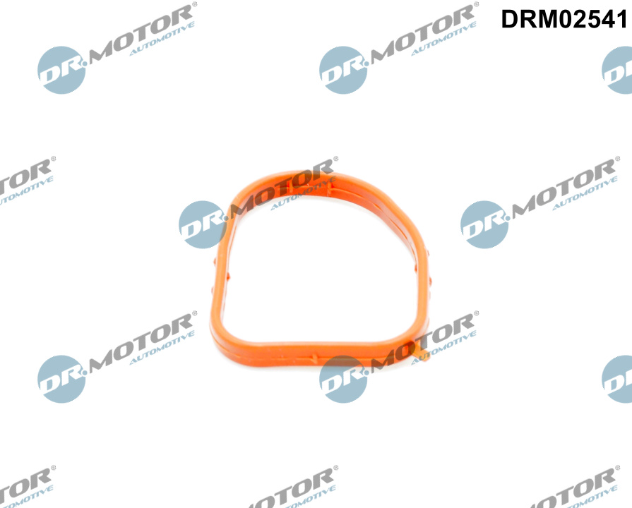 Кільце гумове MB WATER PIPE DR MOTOR (DRM02541) DR.motor фото 2