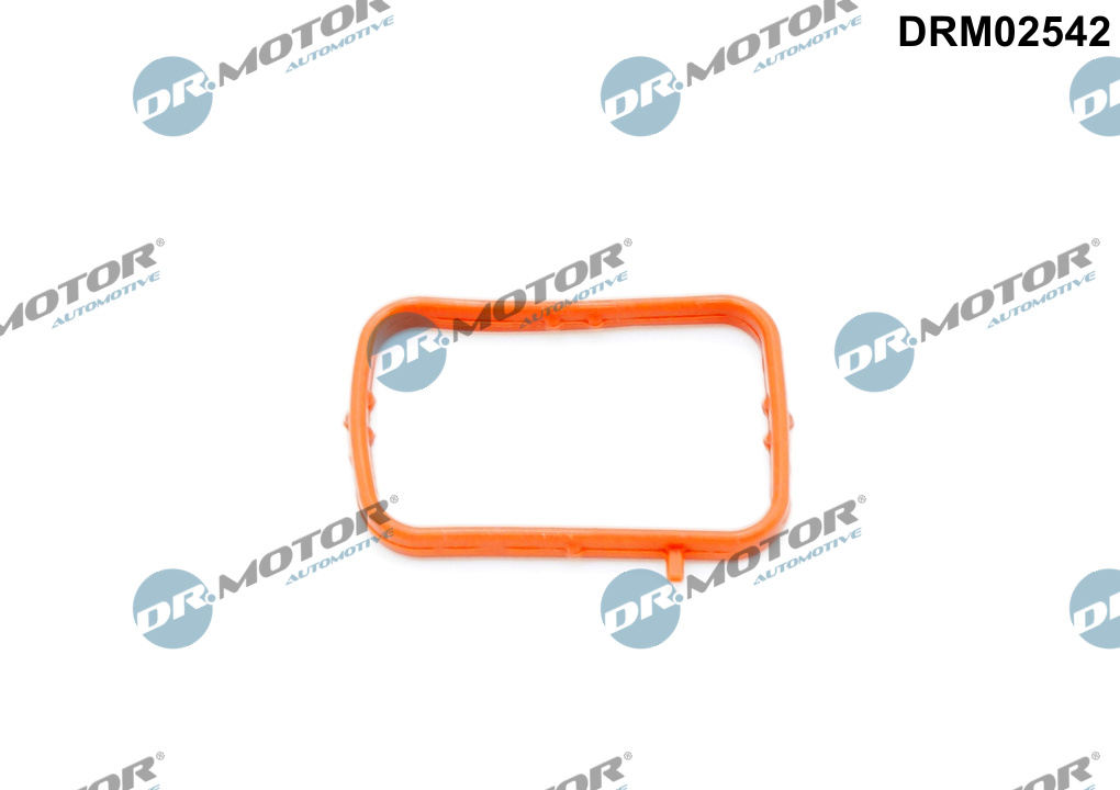 Кільце гумове MB THERMOSTAT DR MOTOR (DRM02542) DR.motor фото 2