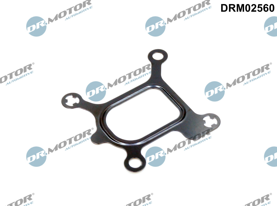 Прокладка двигуна гумова FORD WATER PUMP DR MOTOR (DRM02560) DR.motor фото 2