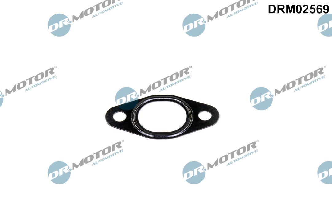 Прокладка двигуна металева BMW EGR DR MOTOR (DRM02569) DR.motor фото 2