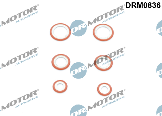 Кільце гумове FORD DR MOTOR (DRM0836) DR.motor фото 2